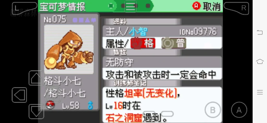 20250222181203484-pkmlkwg (7)