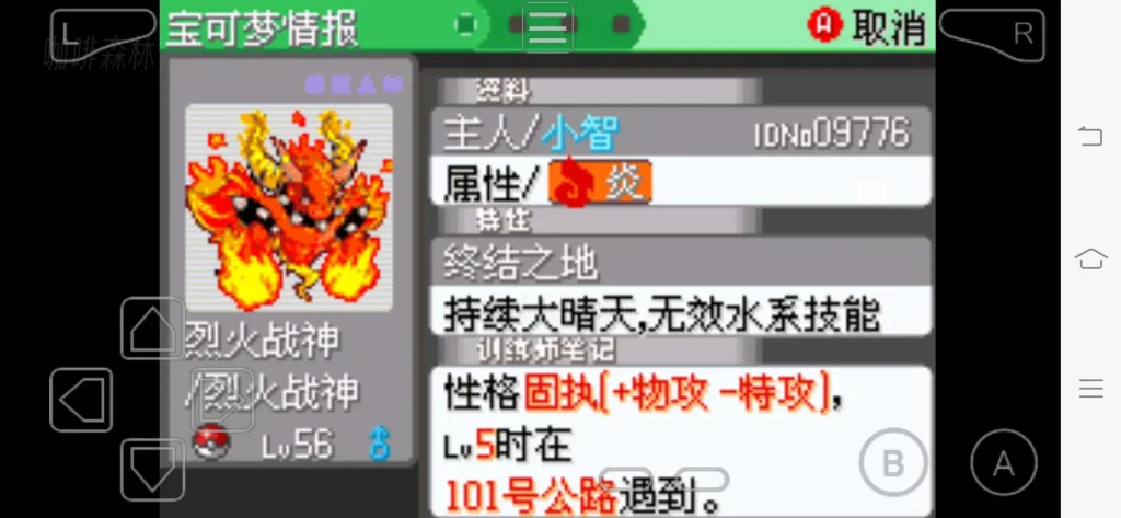 20250222181212955-pkmlkwg (6)