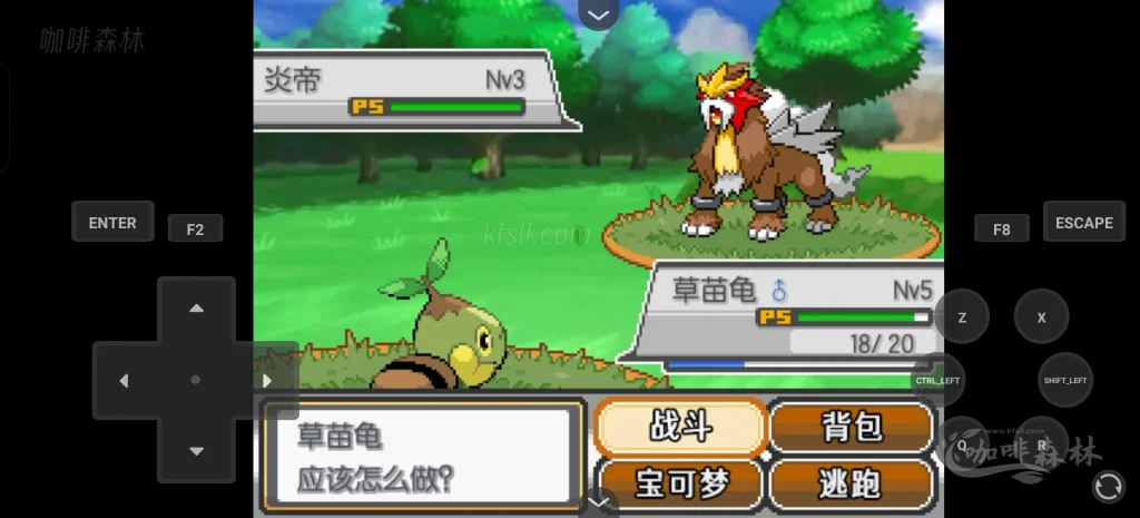 20251223133222900-watermarked_dbs (8)